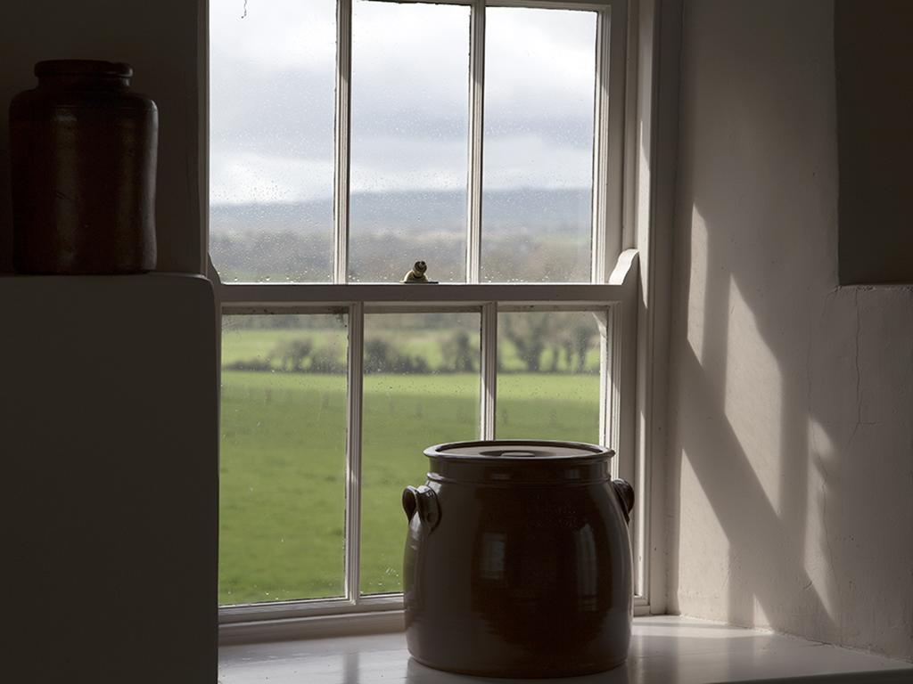Kilgraney House Guest House Bagenalstown ภายนอก รูปภาพ